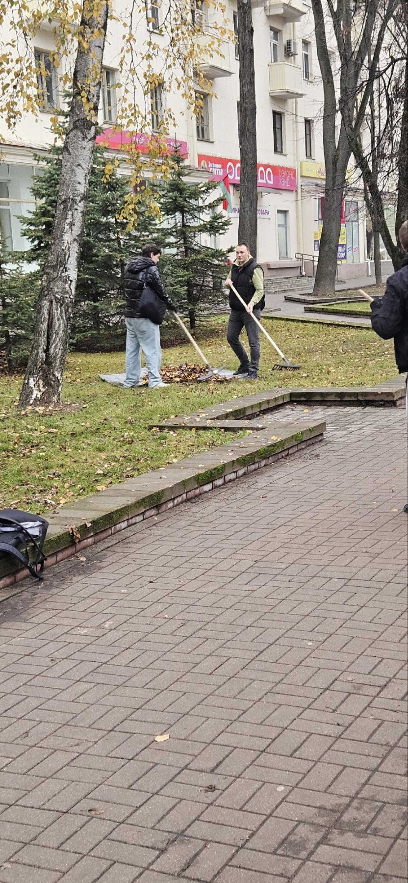 Студенты БНТУ помогли в осенней уборке сквера